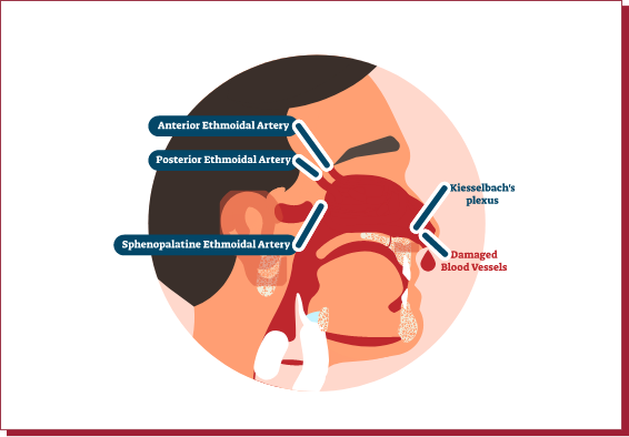인체해부도이미지