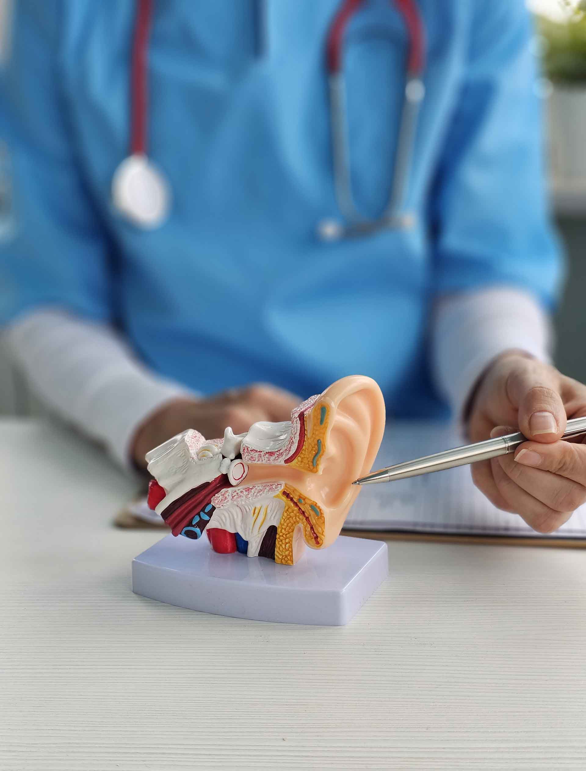 외이도염이미지