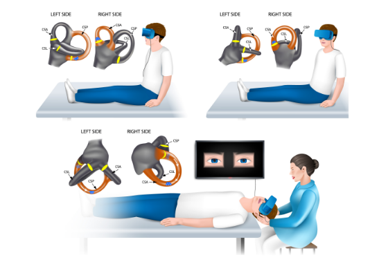 인체해부도이미지