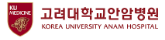 고려대학교안암병원